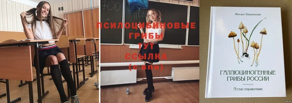 а пвп мука Нея