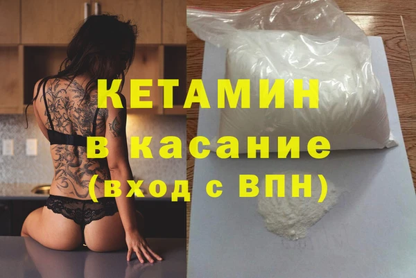 гидра Новодвинск